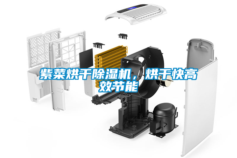 紫菜烘干除濕機，烘干快高效節(jié)能