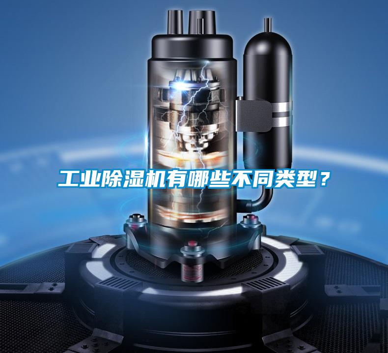 工業(yè)除濕機(jī)有哪些不同類型？