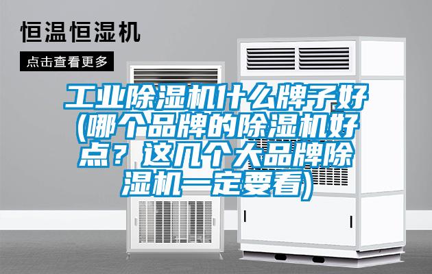 工業除濕機什么牌子好(哪個品牌的除濕機好點？這幾個大品牌除濕機一定要看)