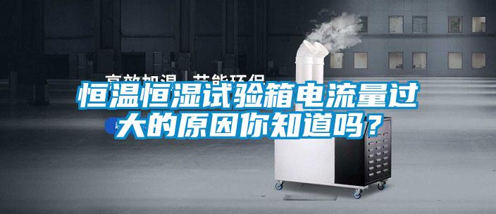 恒溫恒濕試驗箱電流量過大的原因你知道嗎？