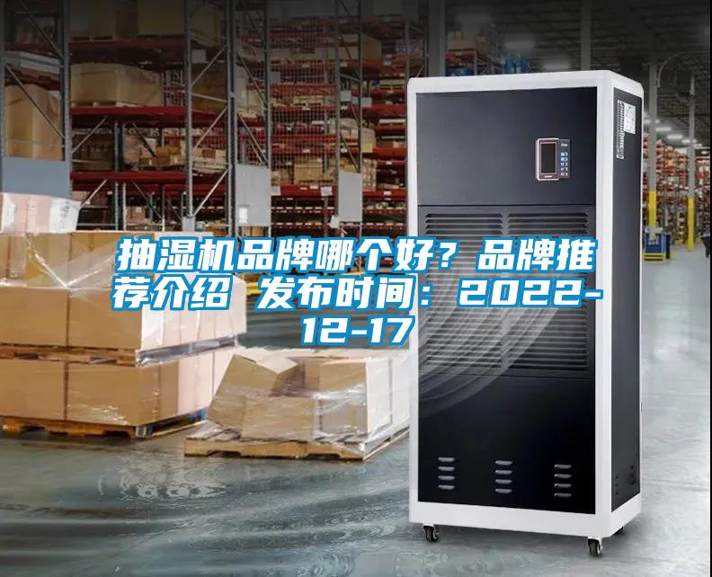 抽濕機品牌哪個好？品牌推薦介紹 發布時間：2022-12-17
