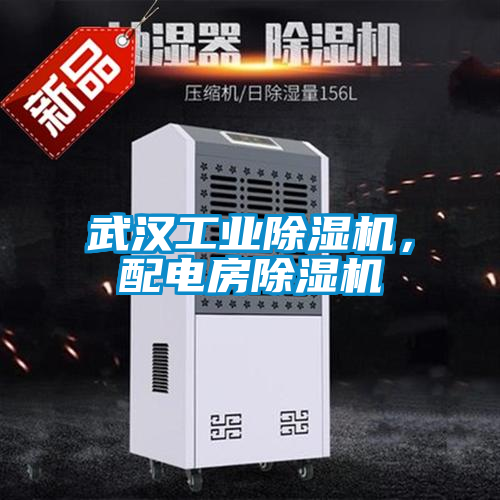 武漢工業(yè)除濕機(jī)，配電房除濕機(jī)