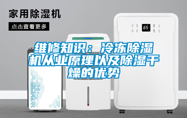 維修知識：冷凍除濕機(jī)從業(yè)原理以及除濕干燥的優(yōu)勢