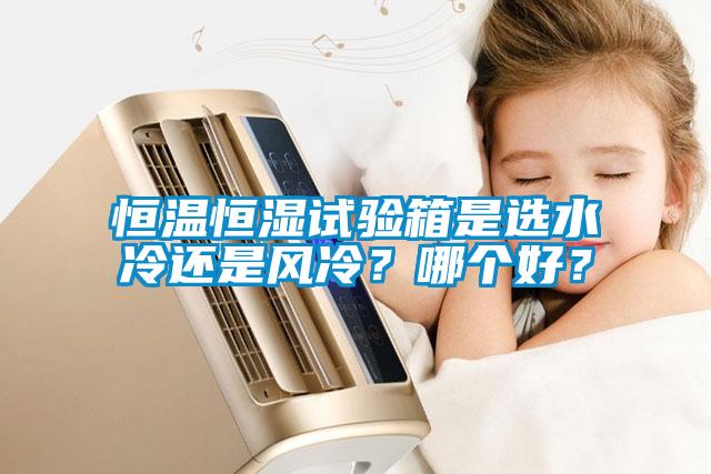 恒溫恒濕試驗箱是選水冷還是風(fēng)冷?哪個好?
