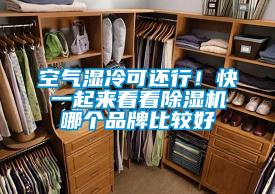 空氣濕冷可還行！快一起來(lái)看看除濕機(jī)哪個(gè)品牌比較好