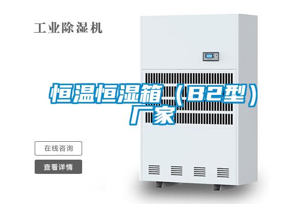 恒溫恒濕箱(B2型)廠家