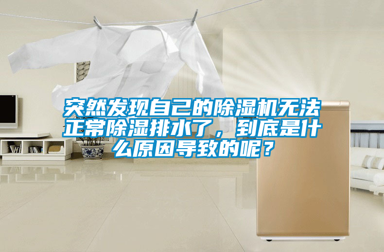 突然發(fā)現(xiàn)自己的除濕機(jī)無法正常除濕排水了，到底是什么原因?qū)е碌哪兀?/></p>
						    <p style=