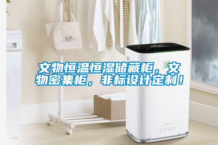 文物恒溫恒濕儲藏柜，文物密集柜，非標設計定制！