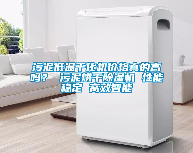 污泥低溫干化機(jī)價(jià)格真的高嗎？ 污泥烘干除濕機(jī) 性能穩(wěn)定 高效智能