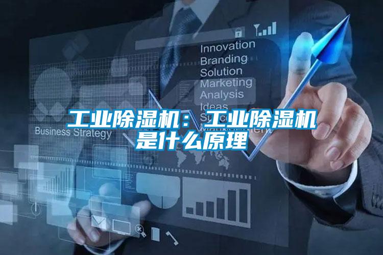 工業(yè)除濕機：工業(yè)除濕機是什么原理