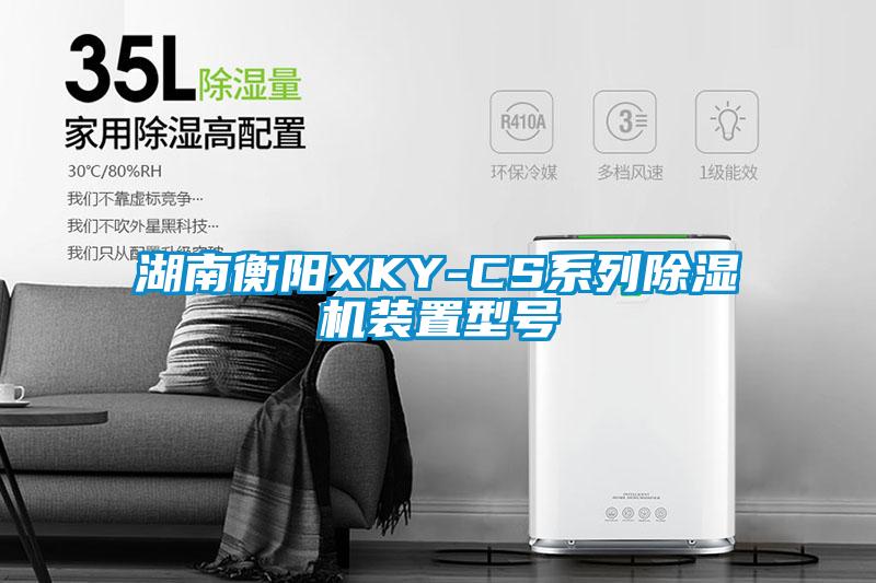 湖南衡陽XKY-CS系列除濕機(jī)裝置型號(hào)