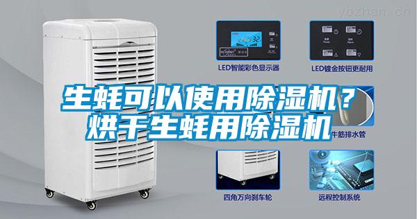 生蠔可以使用除濕機？烘干生蠔用除濕機
