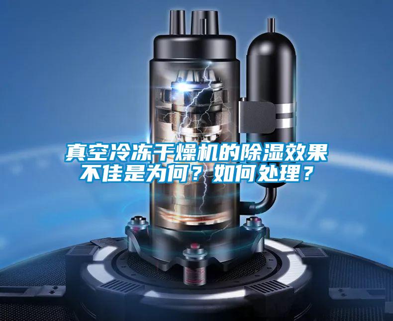 真空冷凍干燥機(jī)的除濕效果不佳是為何？如何處理？