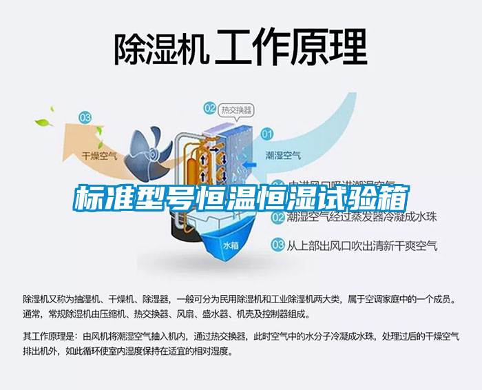 標(biāo)準(zhǔn)型號恒溫恒濕試驗(yàn)箱