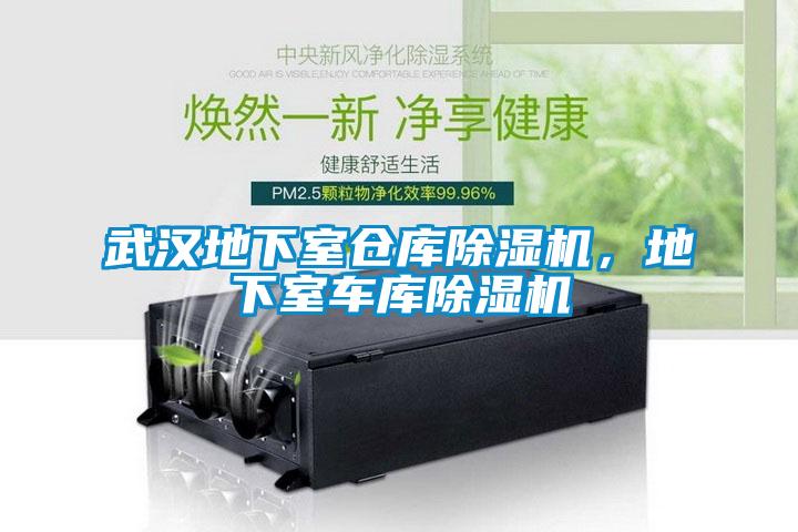 武漢地下室倉(cāng)庫(kù)除濕機(jī)，地下室車(chē)庫(kù)除濕機(jī)