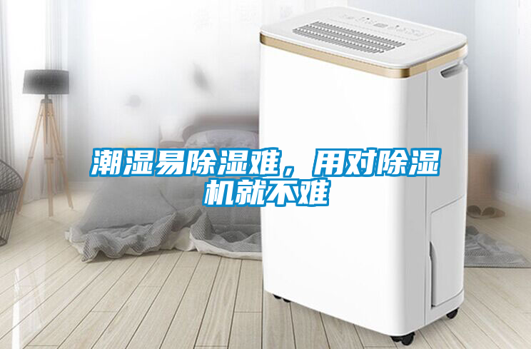 潮濕易除濕難，用對除濕機就不難