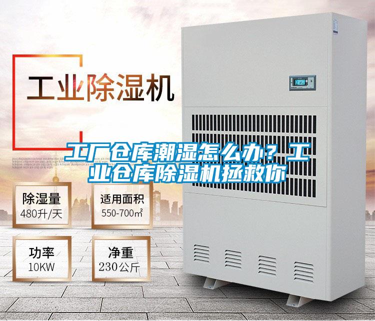 工廠倉(cāng)庫(kù)潮濕怎么辦？工業(yè)倉(cāng)庫(kù)除濕機(jī)拯救你