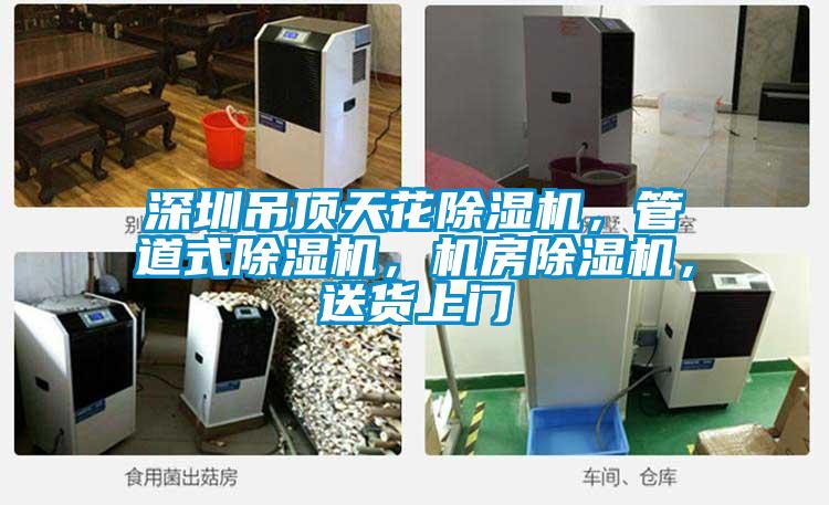 深圳吊頂天花除濕機，管道式除濕機，機房除濕機，送貨上門