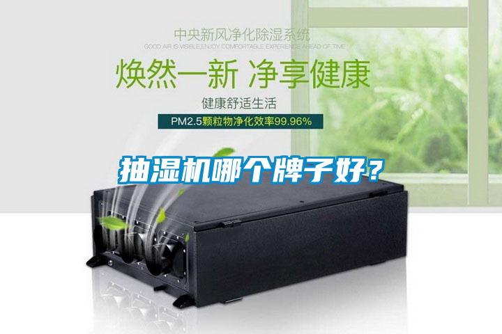 抽濕機哪個牌子好？