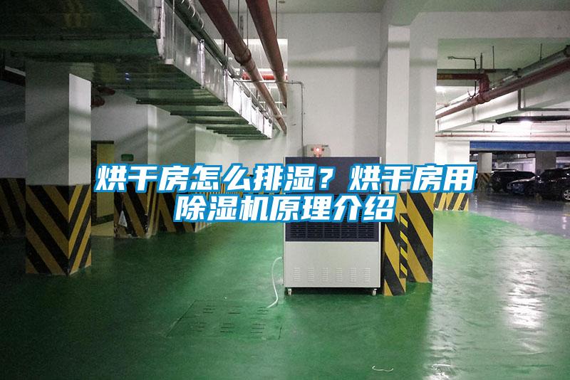烘干房怎么排濕？烘干房用除濕機(jī)原理介紹