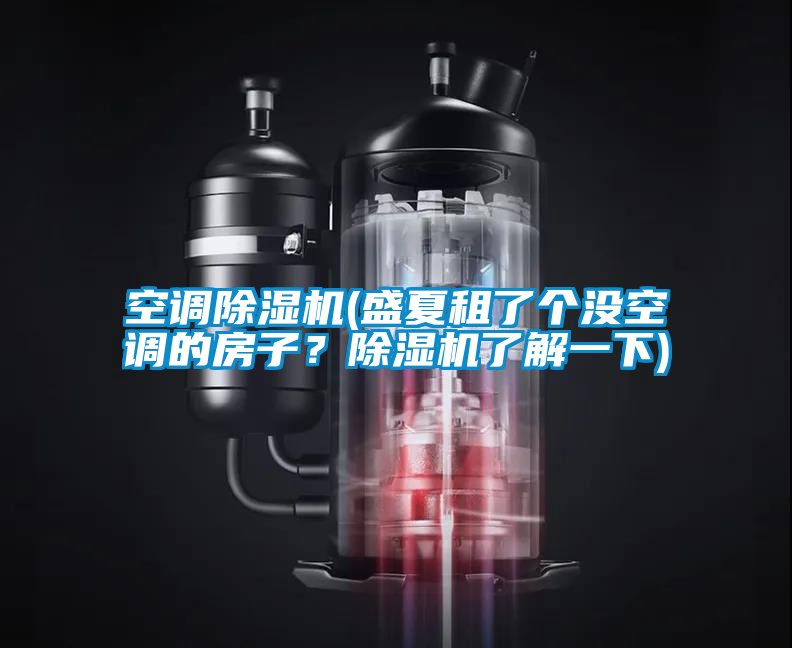 空調除濕機(盛夏租了個沒空調的房子？除濕機了解一下)
