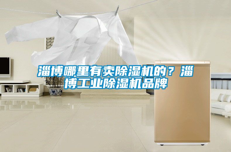 淄博哪里有賣除濕機的？淄博工業除濕機品牌