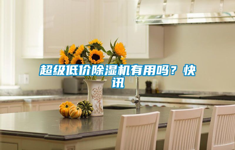 超級低價除濕機有用嗎？快訊