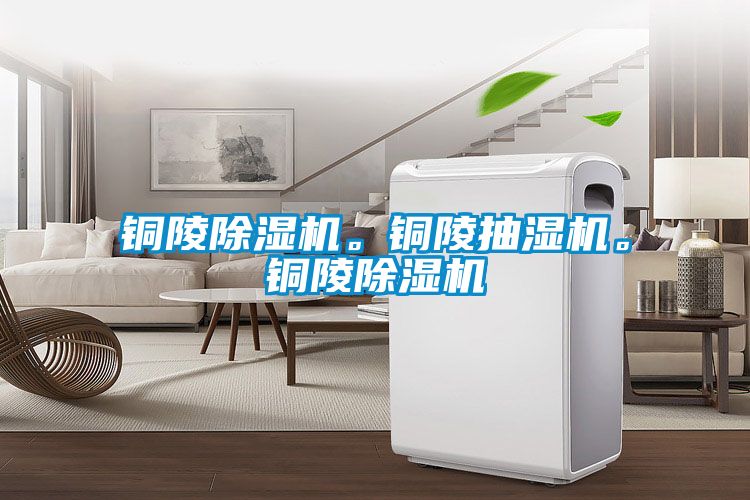 銅陵除濕機。銅陵抽濕機。銅陵除濕機