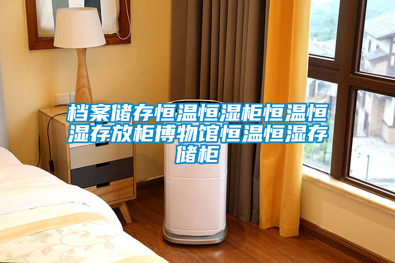 檔案儲(chǔ)存恒溫恒濕柜恒溫恒濕存放柜博物館恒溫恒濕存儲(chǔ)柜