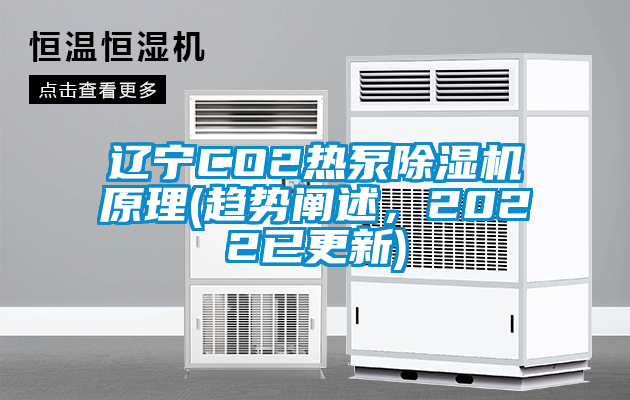 遼寧CO2熱泵除濕機(jī)原理(趨勢(shì)闡述，2022已更新)