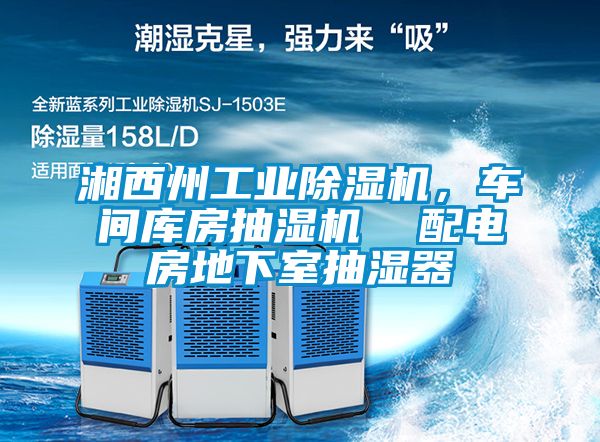 湘西州工業除濕機，車間庫房抽濕機  配電房地下室抽濕器