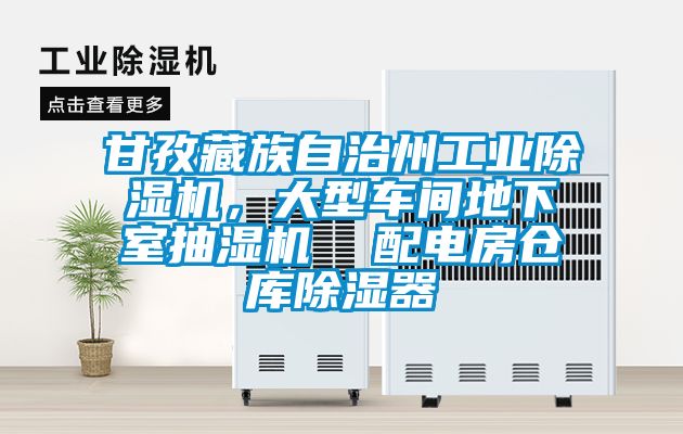 甘孜藏族自治州工業(yè)除濕機(jī)，大型車間地下室抽濕機(jī)  配電房倉(cāng)庫(kù)除濕器