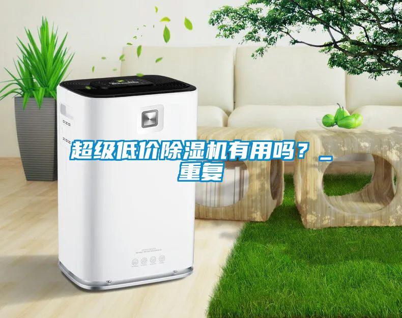 超級低價除濕機有用嗎？_重復