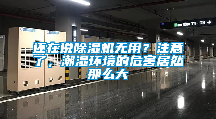 還在說除濕機無用？注意了，潮濕環(huán)境的危害居然那么大