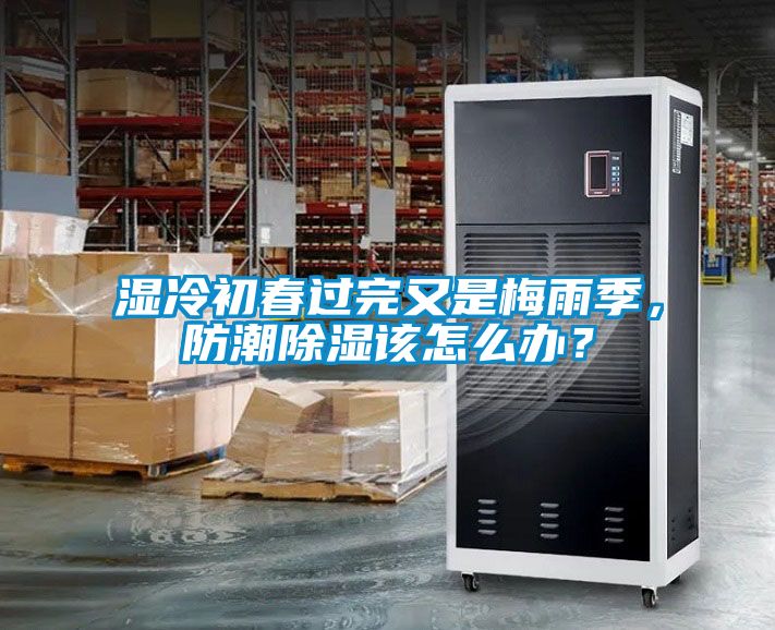 濕冷初春過完又是梅雨季，防潮除濕該怎么辦？
