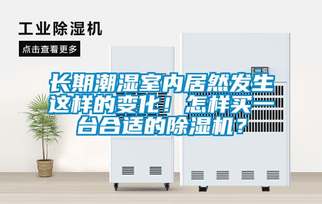 長期潮濕室內居然發生這樣的變化！怎樣買一臺合適的除濕機？