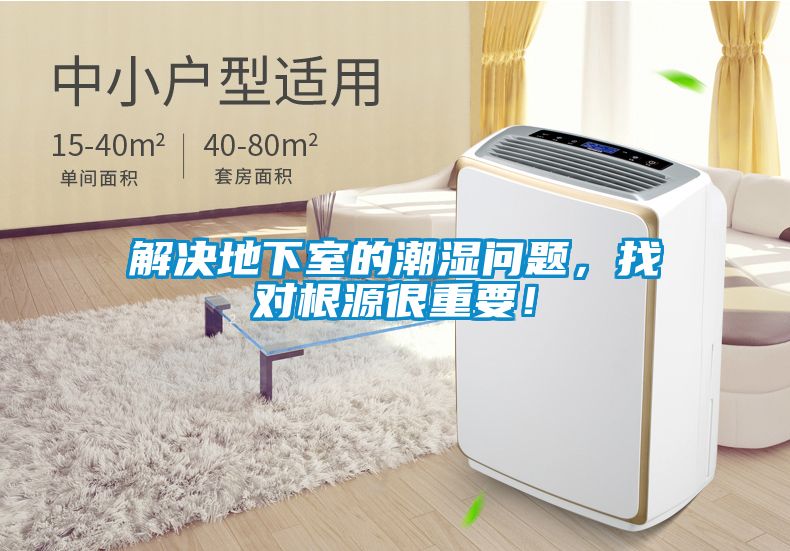 解決地下室的潮濕問題，找對根源很重要！
