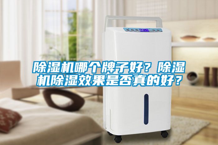 除濕機哪個牌子好？除濕機除濕效果是否真的好？