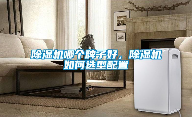 除濕機哪個牌子好，除濕機如何選型配置