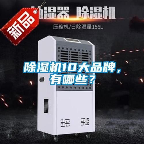 除濕機(jī)10大品牌，有哪些？