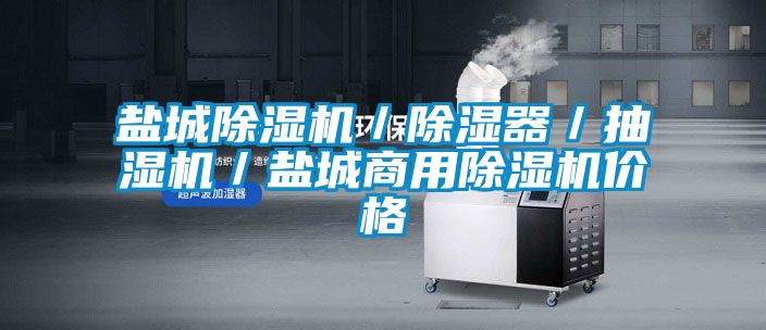 鹽城除濕機(jī)／除濕器／抽濕機(jī)／鹽城商用除濕機(jī)價格