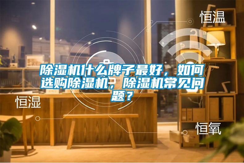 除濕機什么牌子最好，如何選購除濕機，除濕機常見問題？