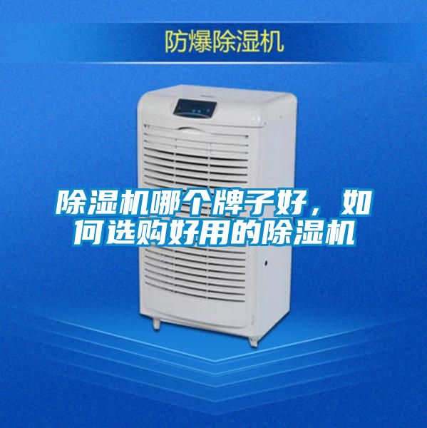 除濕機哪個牌子好，如何選購好用的除濕機