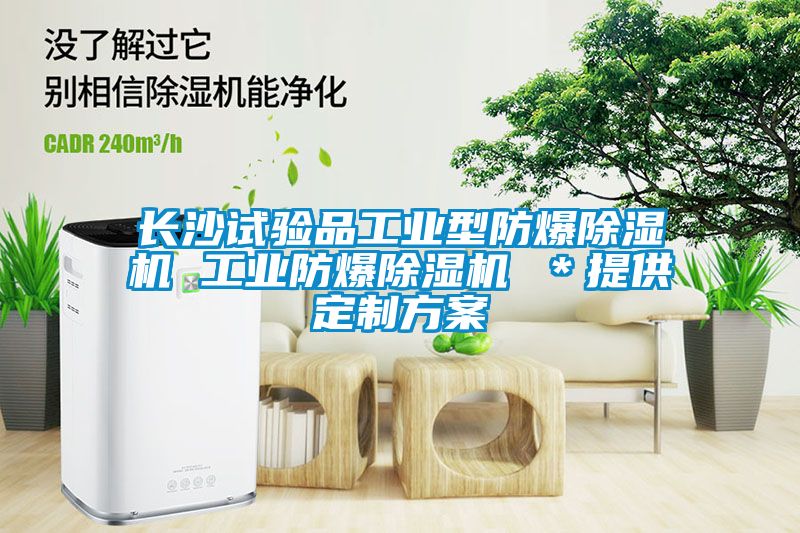 長沙試驗品工業(yè)型防爆除濕機(jī) 工業(yè)防爆除濕機(jī) ＊提供定制方案
