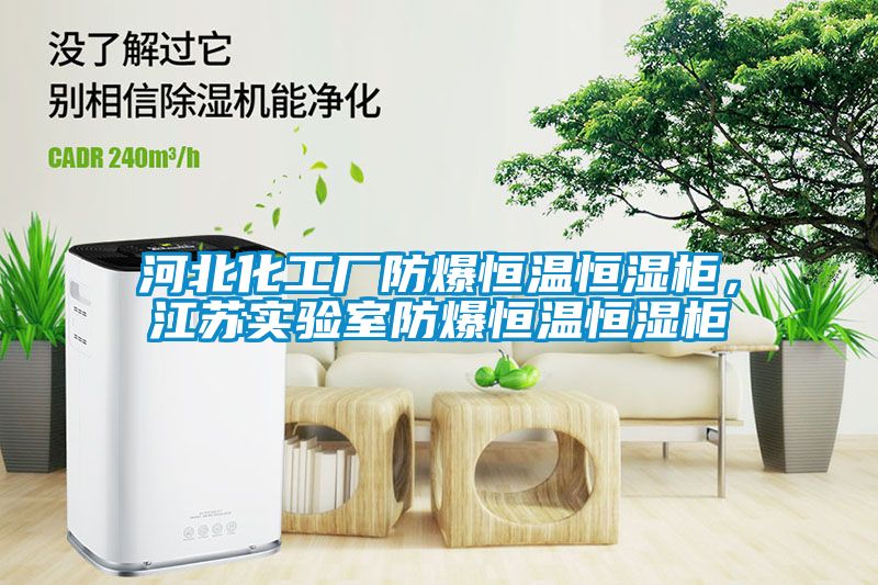 河北化工廠防爆恒溫恒濕柜，江蘇實驗室防爆恒溫恒濕柜