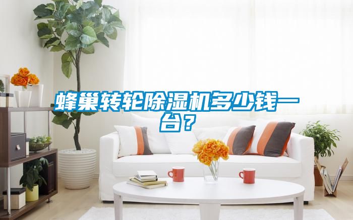 蜂巢轉輪除濕機多少錢一臺？