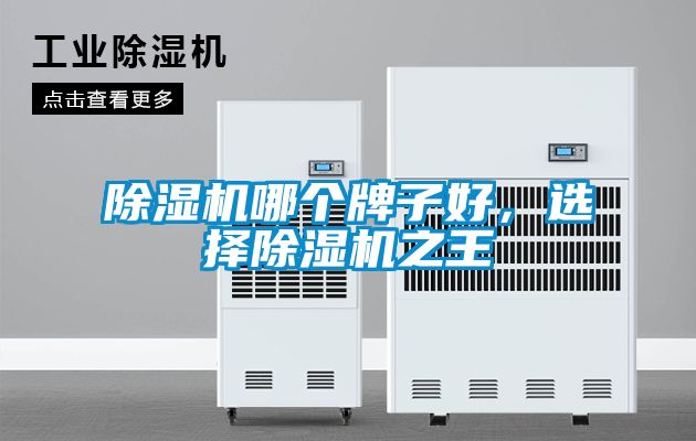 除濕機哪個牌子好，選擇除濕機之王