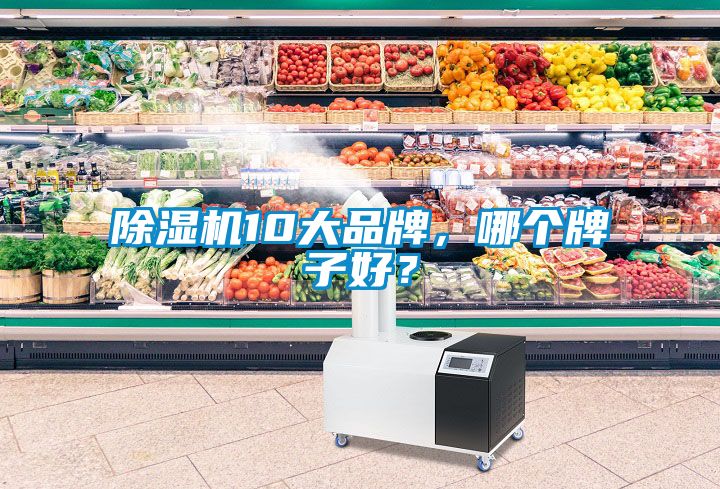 除濕機(jī)10大品牌，哪個牌子好？