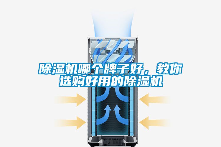 除濕機(jī)哪個(gè)牌子好，教你選購好用的除濕機(jī)