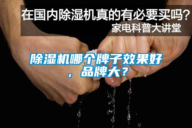 除濕機哪個牌子效果好，品牌大？